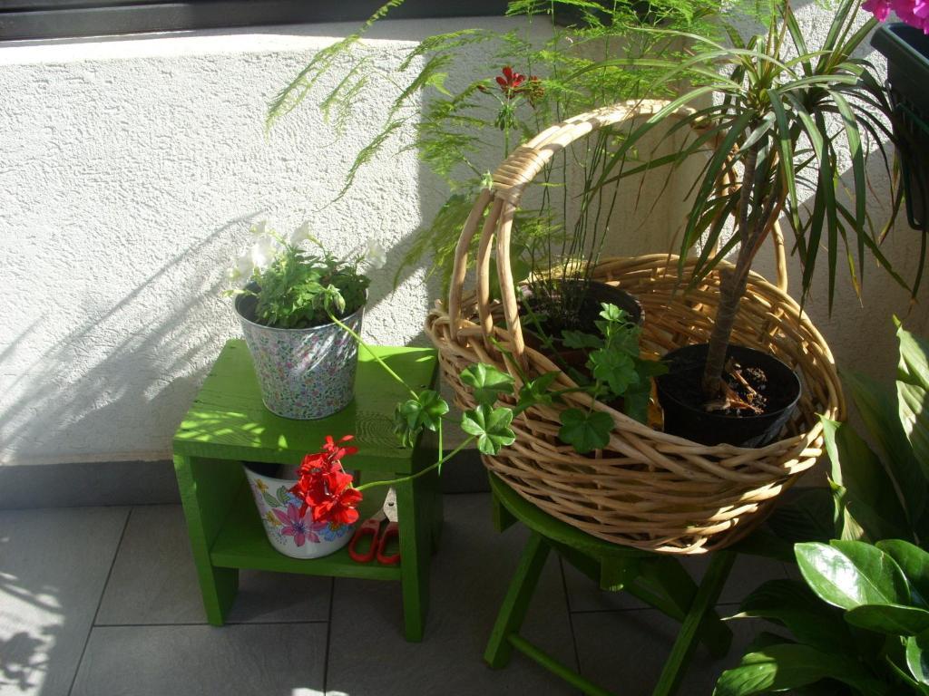 Apartments Dakovic โกตอร์ ภายนอก รูปภาพ