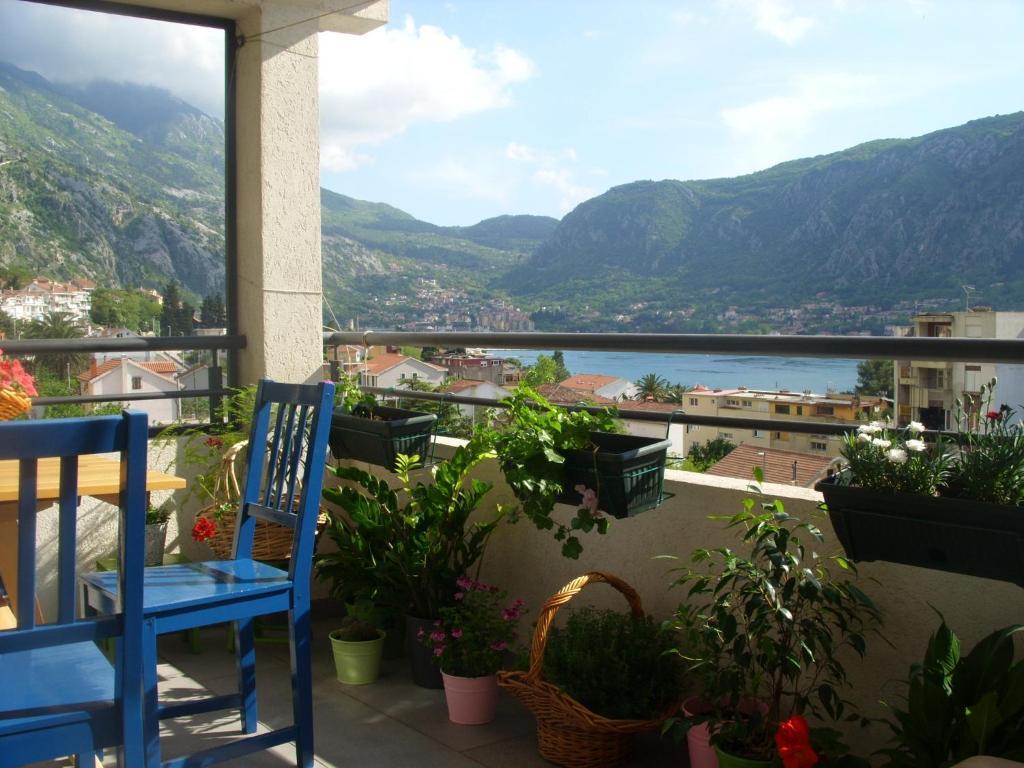 Apartments Dakovic โกตอร์ ภายนอก รูปภาพ