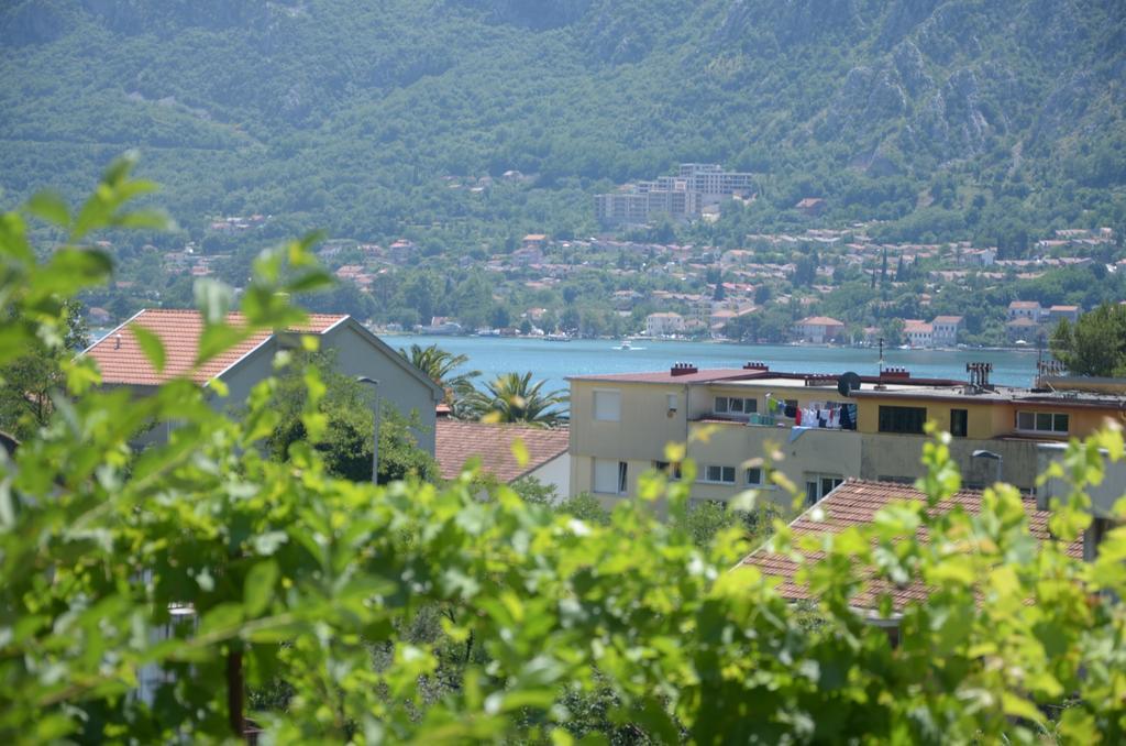 Apartments Dakovic โกตอร์ ภายนอก รูปภาพ