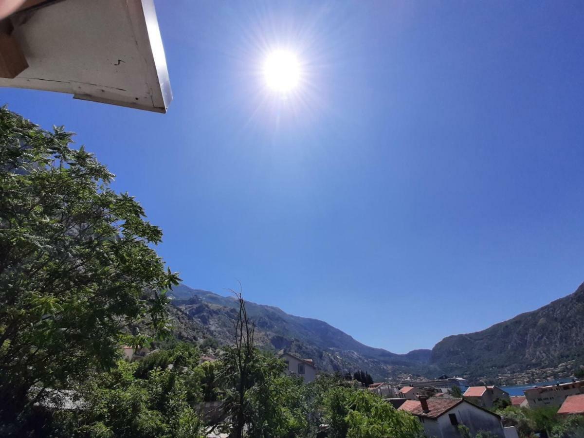 Apartments Dakovic โกตอร์ ภายนอก รูปภาพ