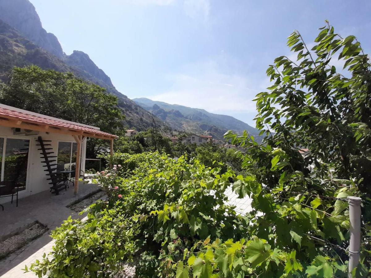 Apartments Dakovic โกตอร์ ภายนอก รูปภาพ